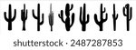 Cactus silhouette. Cactus icon set. Vector illustration.