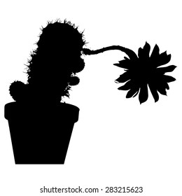 Cactus silhouette. succulent, home flowers, houseplants in pots, blossoms isolated on white background. Vector illustration