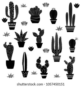 Cactus silhouettes illustrated on white background