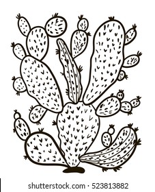 cactus sketch