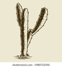 Cactus sketch style vector illustration. Old vintage engraving hand drawn sketchy or etching isolated. Exotic plants minimalist concept. Tropical succulent plants for home wall decor, poster, textile
