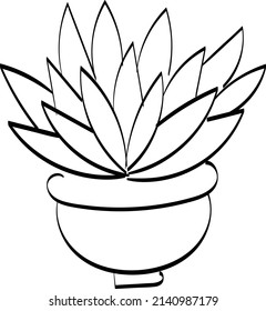 Cactus sketch vector hand drawn illustration for print or use as poster, card or T shirt