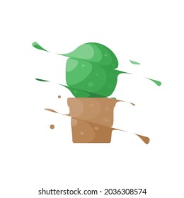 cactus slice splash vector illustration 