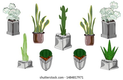 cactus in Small pot, set for home and garden decoration, indoor office, cactus, snake plant, vector illustration, line drawing