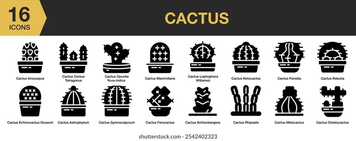 Conjunto de iconos sólidos de cactus. Incluye cactus, planta, ferocactus, suculentas, plantas de maceta, plantas domésticas y más. Colección de Vector de iconos sólidos.