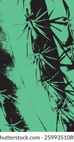 Cactus spikes close up abstract