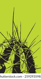 Cactus spikes closeup abstract silhouette
