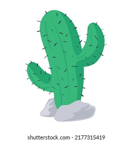 cactus with spines over white