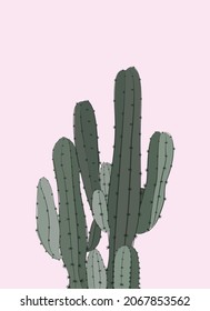 Cactus Spines Pink Background Vector Flat Flora Illustration Modern illustration in cartoon style. Design for cards, posters, templates, backgrounds, textiles, t-shirts.