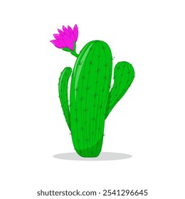 Cactus, espinoso, con un brote, solo, aislado en blanco. Planta de Vector, ilustración botánica. Decoración, elemento decorativo.