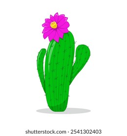 Cactus, spiny, with a flower, alone, isolated on white. Vector plant, botanical illustration. Decoration, decorative element.