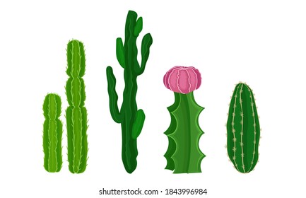 Cactus as Spiny Plant Living in Dry Environments Vector Set