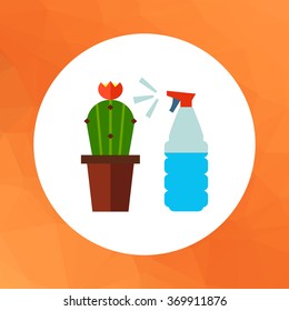 Cactus with spray bottle