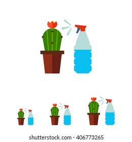 Cactus with spray bottle