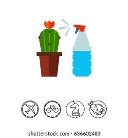 Cactus with spray bottle