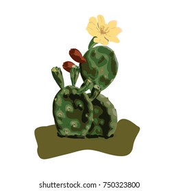 Cactus with sprouts