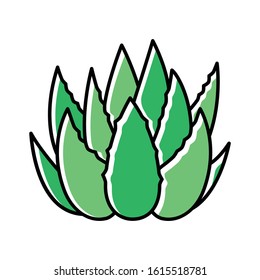 Cactus sprouts green color icon. Aloe vera leaves. Growing medicinal herb. Decorative plant. Botanical ingredient for organic cosmetic. Dermatology and cosmetology. Isolated vector illustration