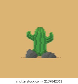 cactus and stone in pixel style