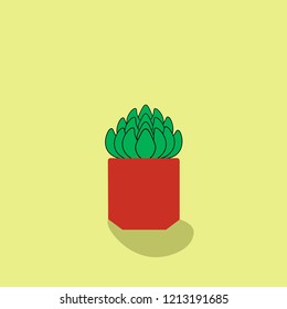 cactus stone rose vector illustration