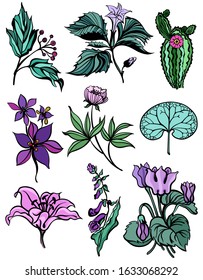 Cactus, stramonium, aquilegia, meadow, and forest herbs, flowers, plants, leaves. Collection of 9 botanical illustrations. Simple ink style drawings, isolated. Vector stock illustration.