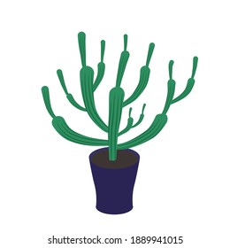 Cactus striped in house pot vector illustration eps. 10