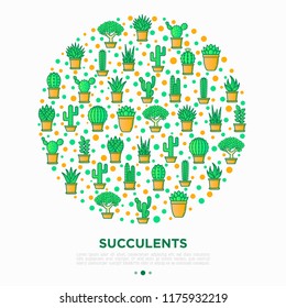 Cactus and succelents in pots concept in circle with thin line icons. Modern vector illustration, web page template for shop of plants.
