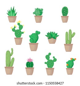 Cactus and successful in pots. Set. Vector illustration