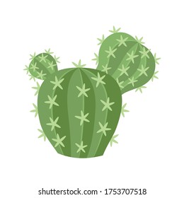 Cactus and succulent colorful cartoon vector illustration. Decorative flower plant. Isolated icon cacti