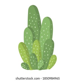 Cactus and succulent colorful cartoon vector illustration. Decorative flower plant. Isolated icon cacti