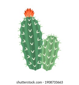 Cactus and succulent colorful cartoon vector illustration. Decorative flower plant. Isolated icon cacti