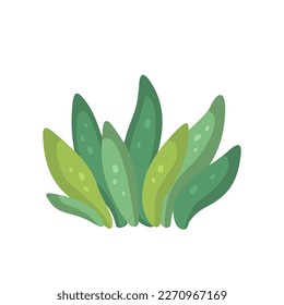 Cactus y la ilustración del vector de dibujos animados coloridos y suculentos