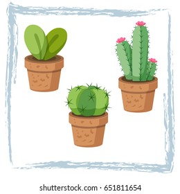 cactus and succulent are desert plants