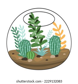 Cactus and succulent in doodle terrarium. Florarium cartoon vector illustration. Tropical house plant, decor, botanical interior, gardening concept