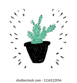 Cactus and succulent doodle vector illustration for basic designs, print and catalogues.