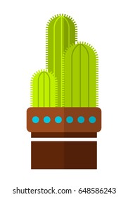 Cactus, succulent. Flat color icon, illustration of potted plant isolated on white background. Object for design