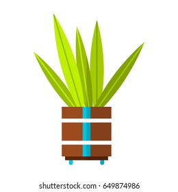 Cactus, succulent. Flat color icon, illustration of potted plant isolated on white background. Object for design