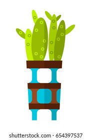 Cactus, succulent. Flat color icon, illustration of potted plant isolated on white background. Object for design