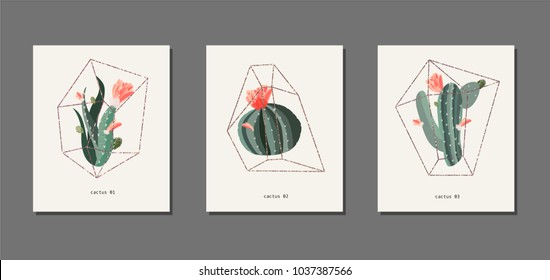 Cactus and succulent in a florarium glass vector illustration. Golden frame. Poster or card set. Red flowers. Birthday, anniversary, Valentin’s day, party invitations, wedding, covers. 