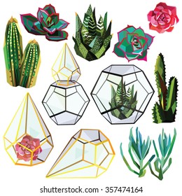 cactus succulent flower low poly set with glass terrariums vector illustration isolated on white background.