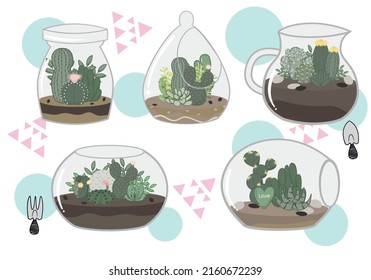 Kakteen und sukkulenter Garten in einem Terrarium. Stilvolle und klassische Mini-Gartenanlage mit geometrischen Formen. EinzelVektorgrafik einzeln auf weißem Hintergrund.