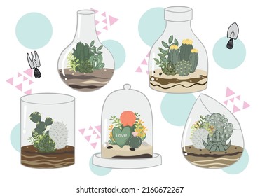 Kakteen und sukkulenter Garten in einem Terrarium. Stilvolle und klassische Mini-Gartenanlage mit geometrischen Formen. EinzelVektorgrafik einzeln auf weißem Hintergrund.