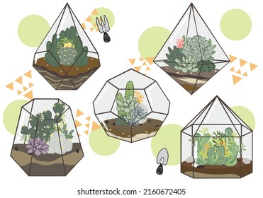 Kakteen und sukkulenter Garten in einem Terrarium. Stilvolle und klassische Mini-Gartenanlage mit geometrischen Formen. EinzelVektorgrafik einzeln auf weißem Hintergrund.