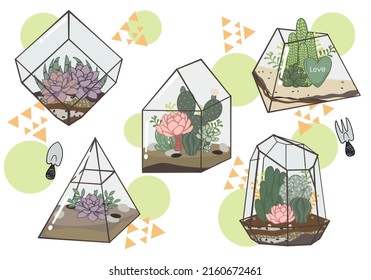 Kakteen und sukkulenter Garten in einem Terrarium. Stilvolle und klassische Mini-Gartenanlage mit geometrischen Formen. EinzelVektorgrafik einzeln auf weißem Hintergrund.