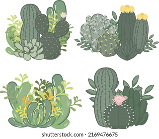 Cactus and Succulent Gardening Collection. It is a simple garden style. Single vector illustration isolated on white background.