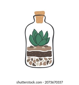 Cactus succulent in a glass bottle. Succulent in terrarium. Regular cacti succulent. Hygge lifestyle vector collection.