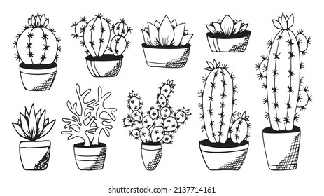 Cactus and succulent handdrawn flat black set. Plant and flower pot. Monochrome echeveria crassula aloe vera. Design for sketchbook magazine web card book . Vector illustration Isolated on white
