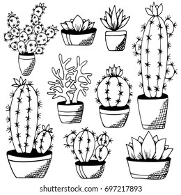 Cactus and succulent handdrawn flat black set. Plant and flower pot. Monochrome echeveria crassula aloe vera. Design for sketchbook magazine web card book . Vector illustration Isolated on white