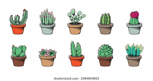 Cactus and Succulent Illustration Set