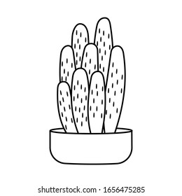 Cactus and succulent line style cartoon vector illustration. Decorative flower plant in pot. Isolated icon cacti