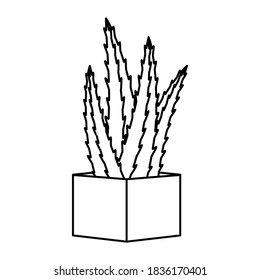 Dibujo vectorial de cactus y líneas suculentas. Flor decorativa en la olla. Ícono aislado